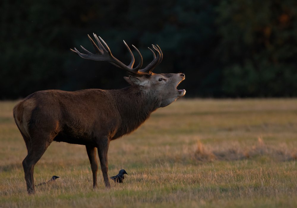 Фотография автора MARIA KULA
