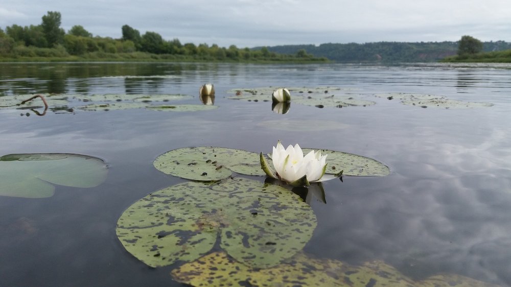 Photograph by Юрий Тимофеев