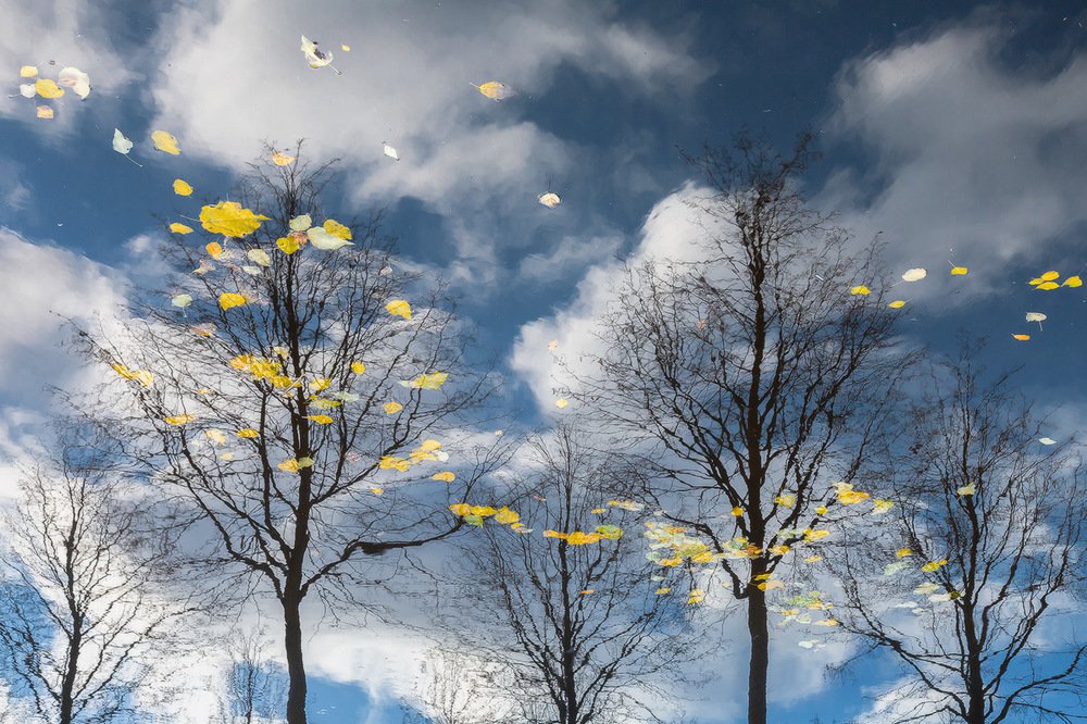 Photograph by Алексей Ретюнских