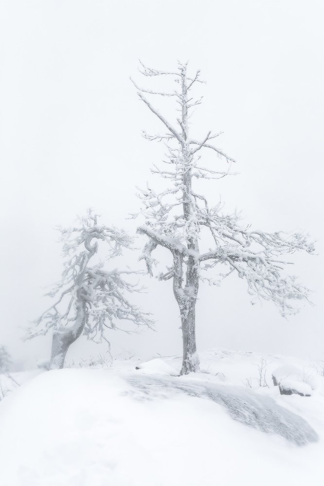 Photograph by Алексей Ретюнских