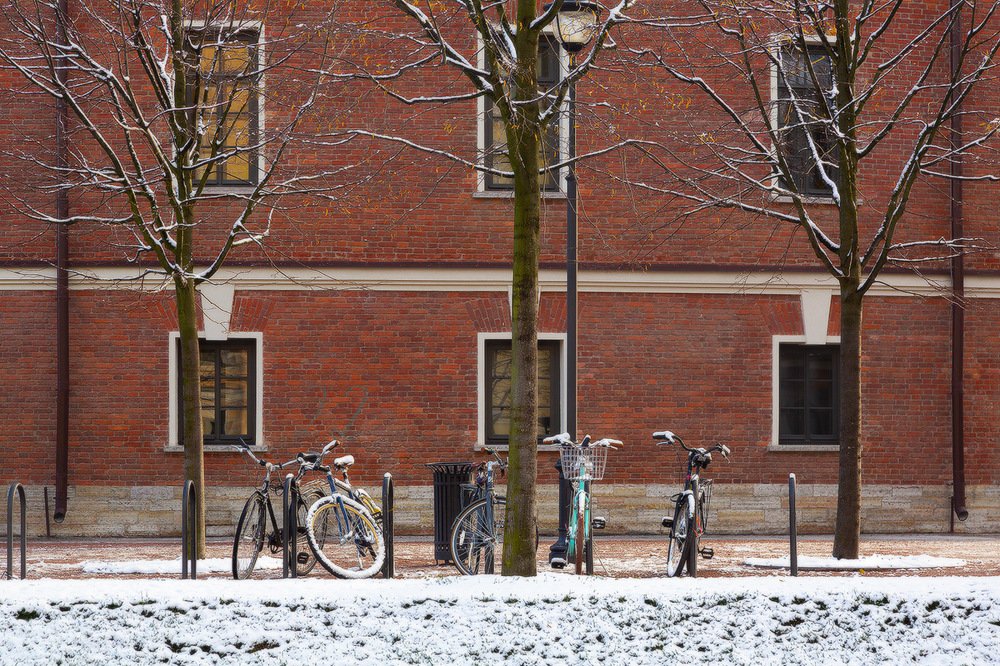 Photograph by Алексей Ретюнских