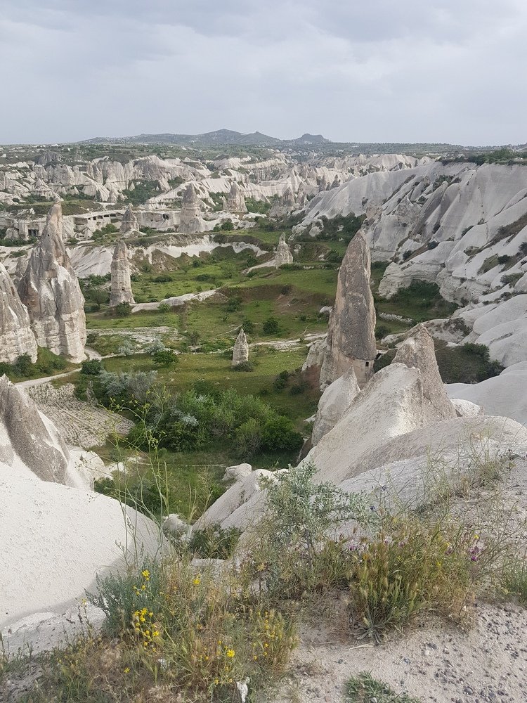 Photo #4329906