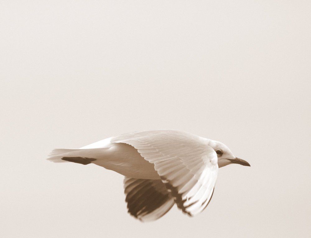 Photograph by Константин Бокарев