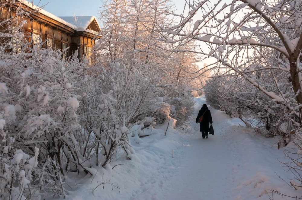 Морозные покупки