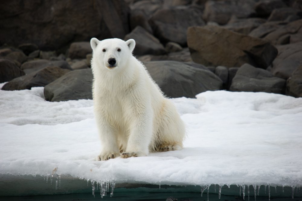 После завтрака