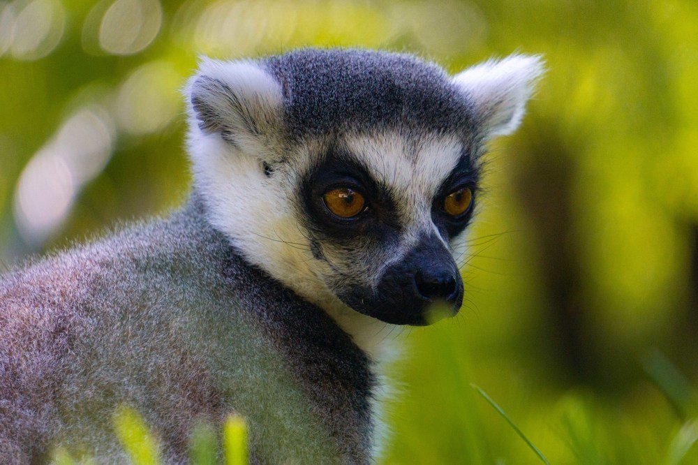 Photograph by Catalin Arcu