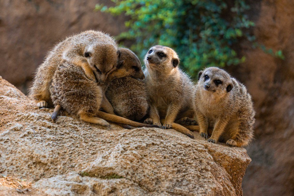 Photograph by Catalin Arcu