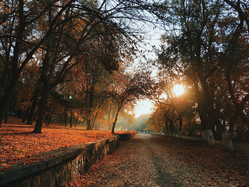 Photograph by Галина Калашникова