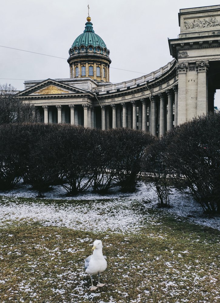 Photograph by Галина Калашникова