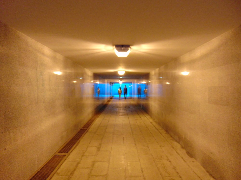 Photograph by Ольга Шевцова