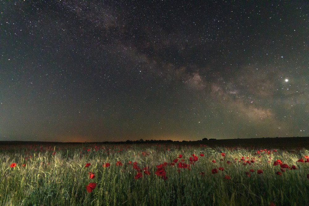 Маки и звёзды / Poppies and stars