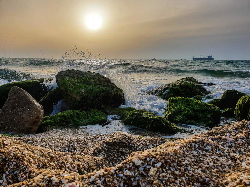 Photograph by Katerina Shibeko