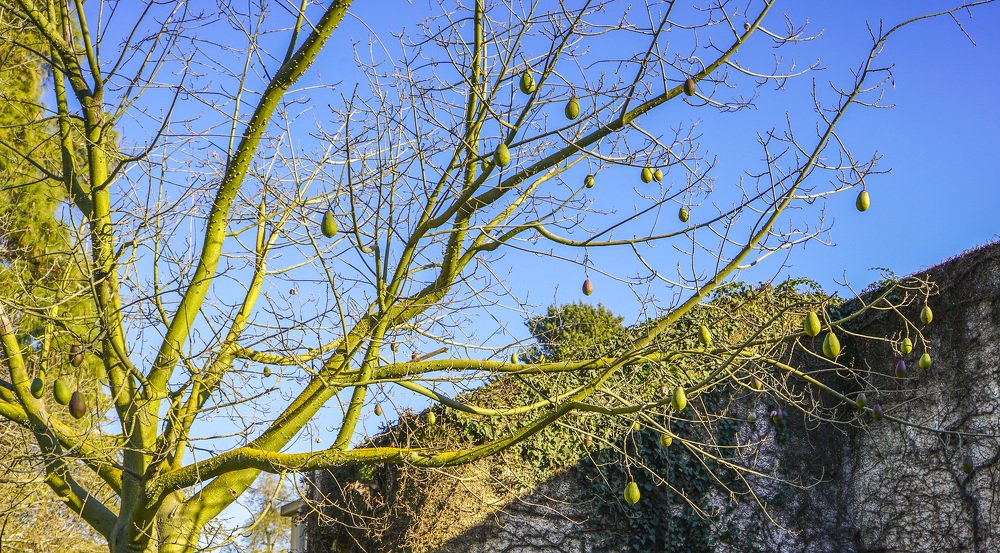 Photograph by Артём Рыбалов