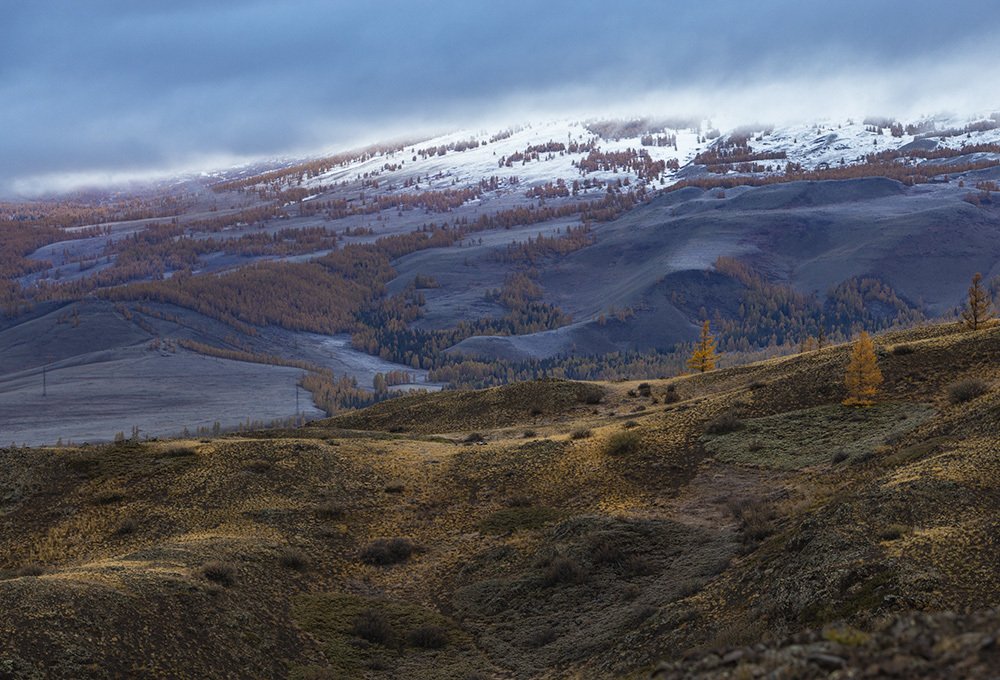 Photograph by Галина Ломако