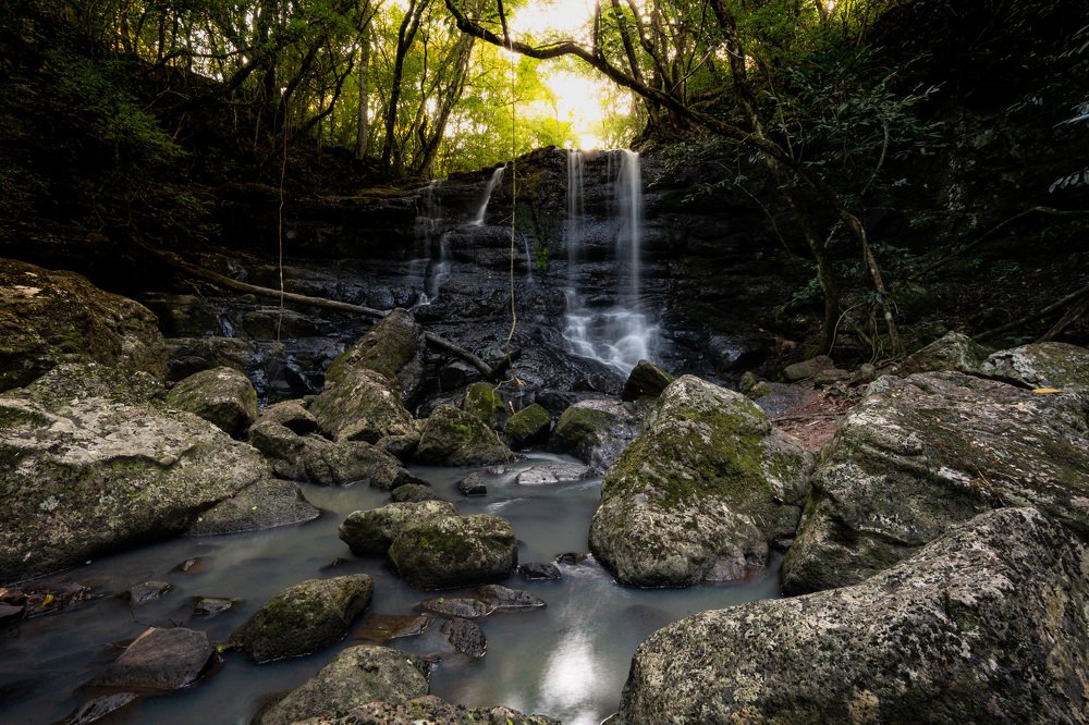 Photograph by Victor Moreira
