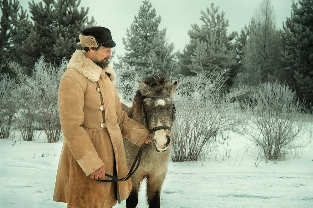 Зимняя прогулка