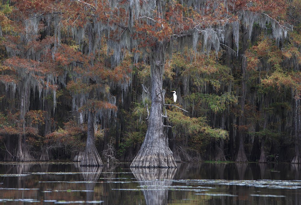 Photograph by Галина Ломако