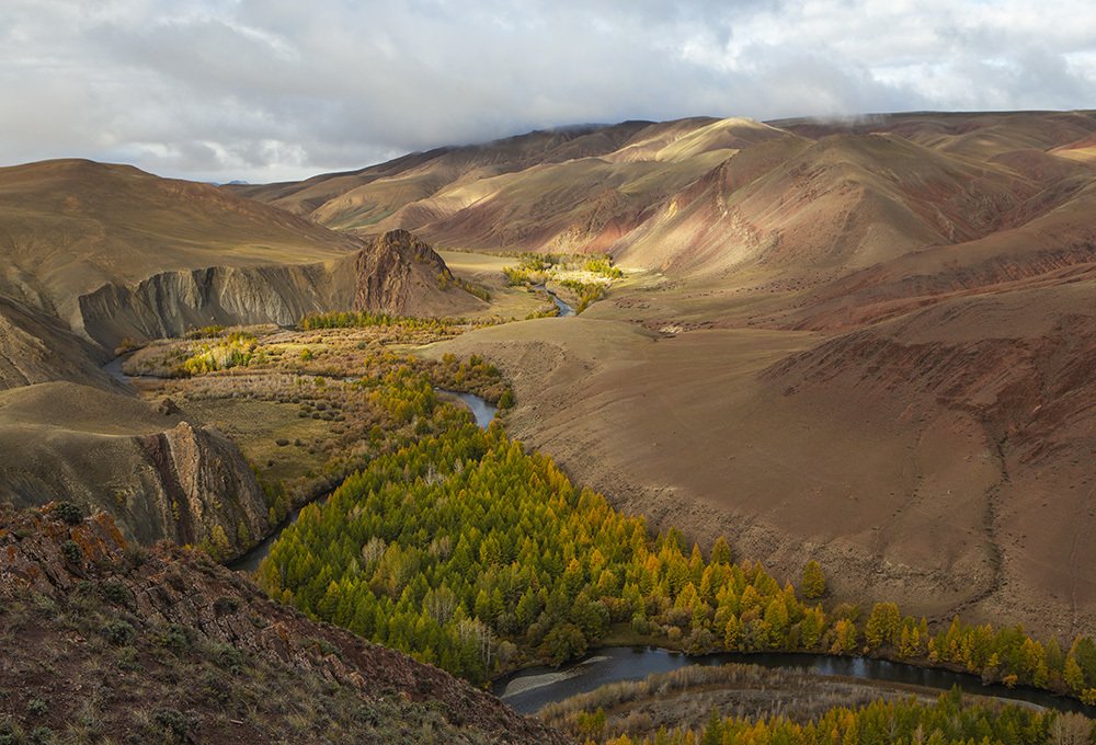 Photograph by Галина Ломако