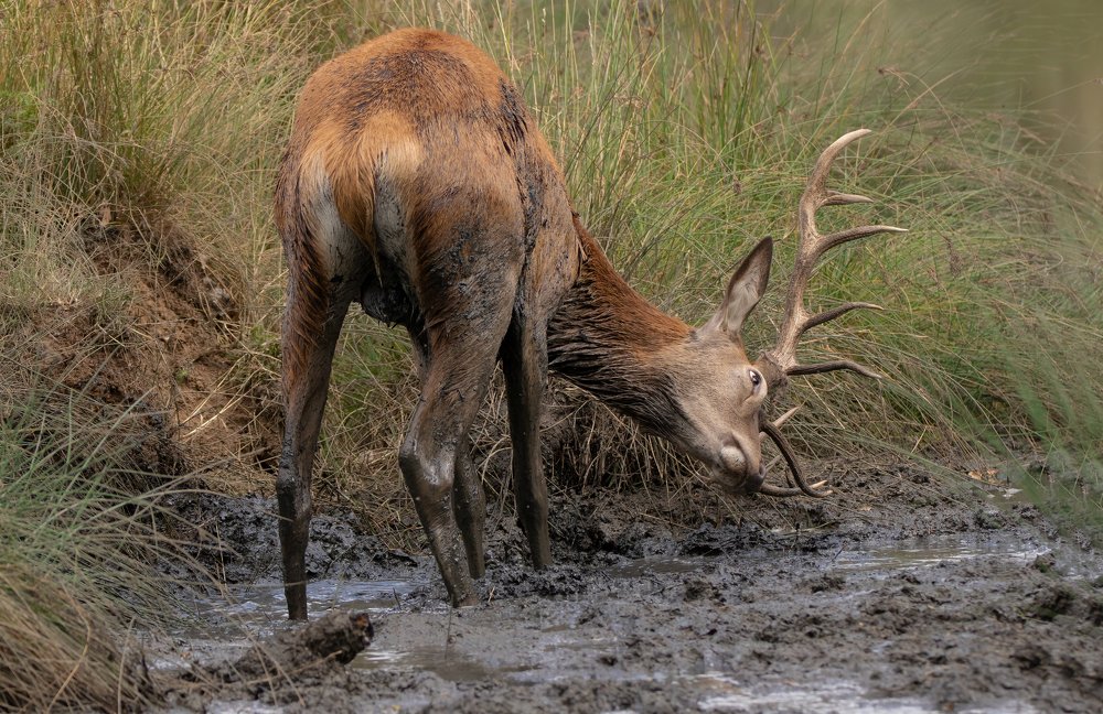 Фотография автора MARIA KULA