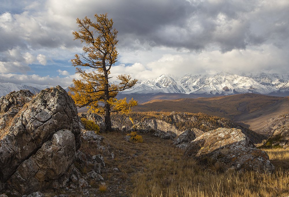 Photograph by Галина Ломако