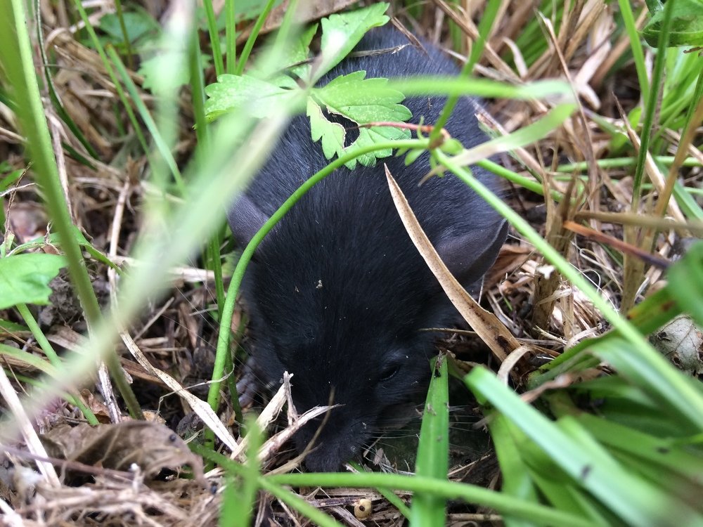 Photograph by ИГОРЬ