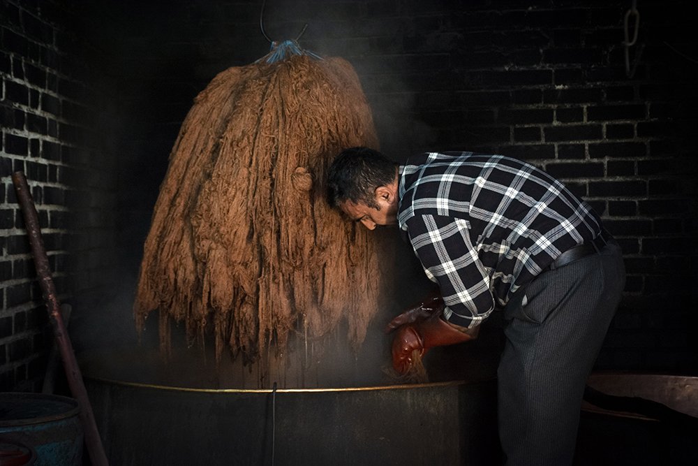 Photograph by Morteza Heidarian Mehr