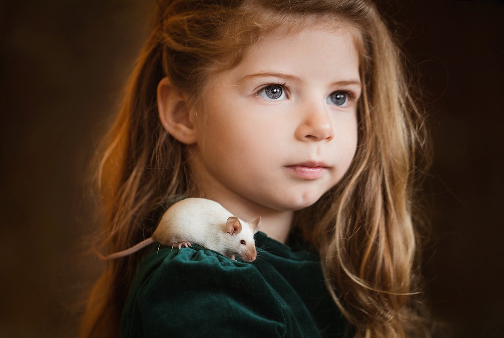 Мой мышонок