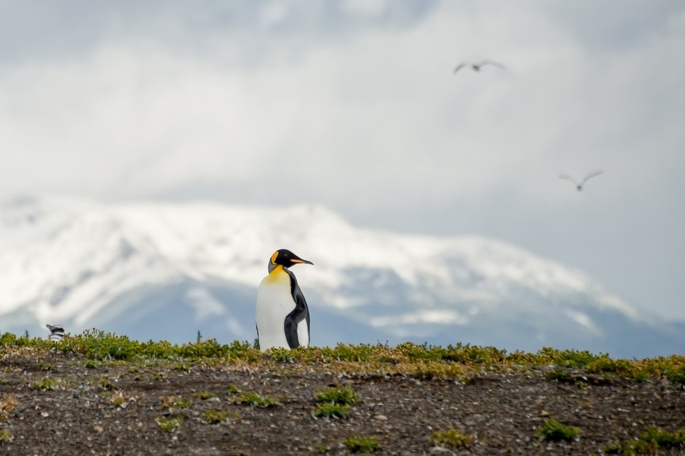 Photograph by Андрей Зуев