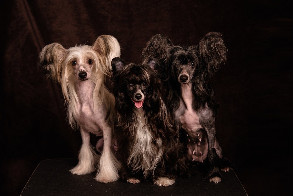 Photograph by Юлия Булыня