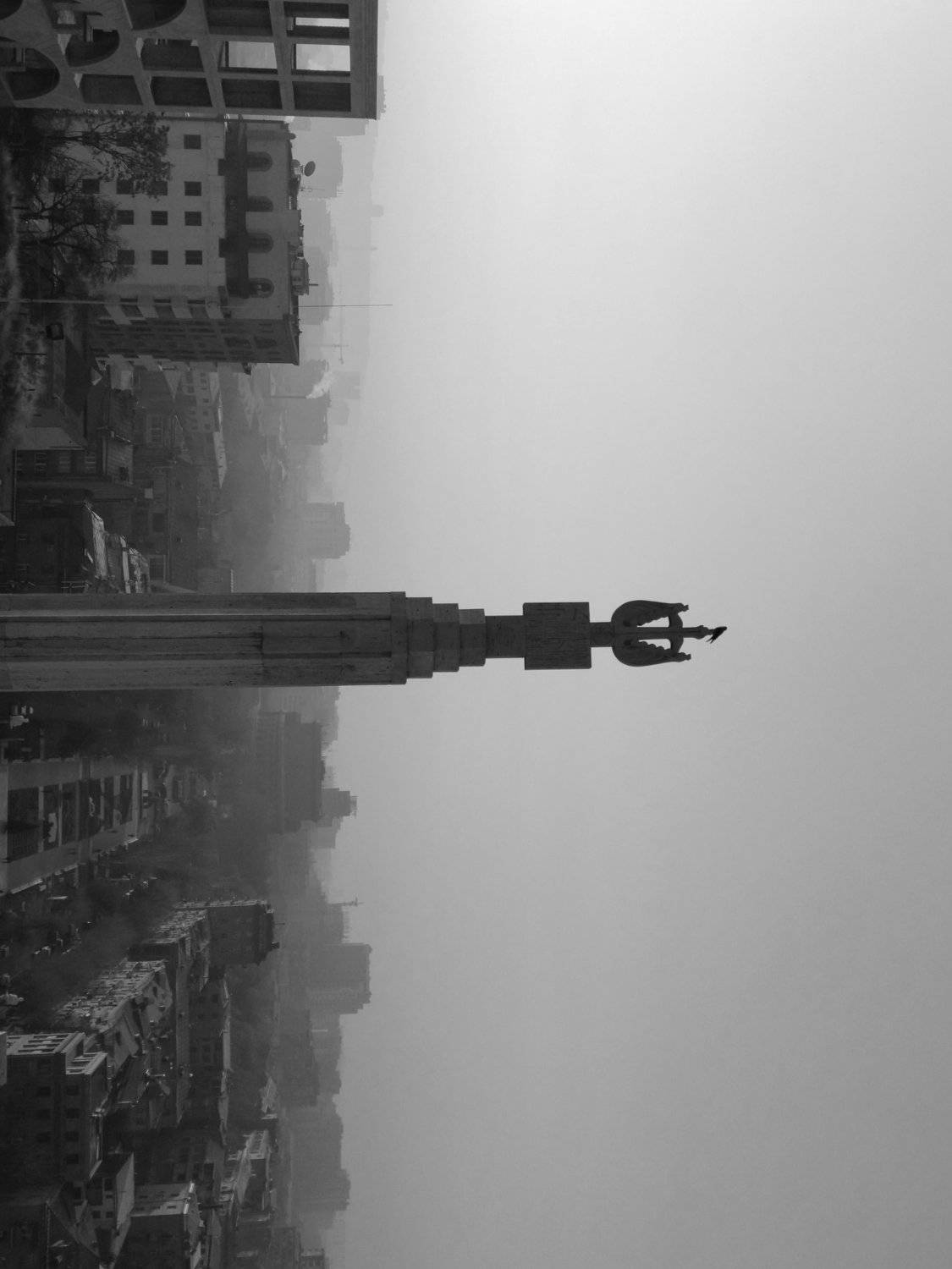 Photo #4330956