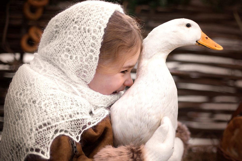 Photograph by Наталья Петренко