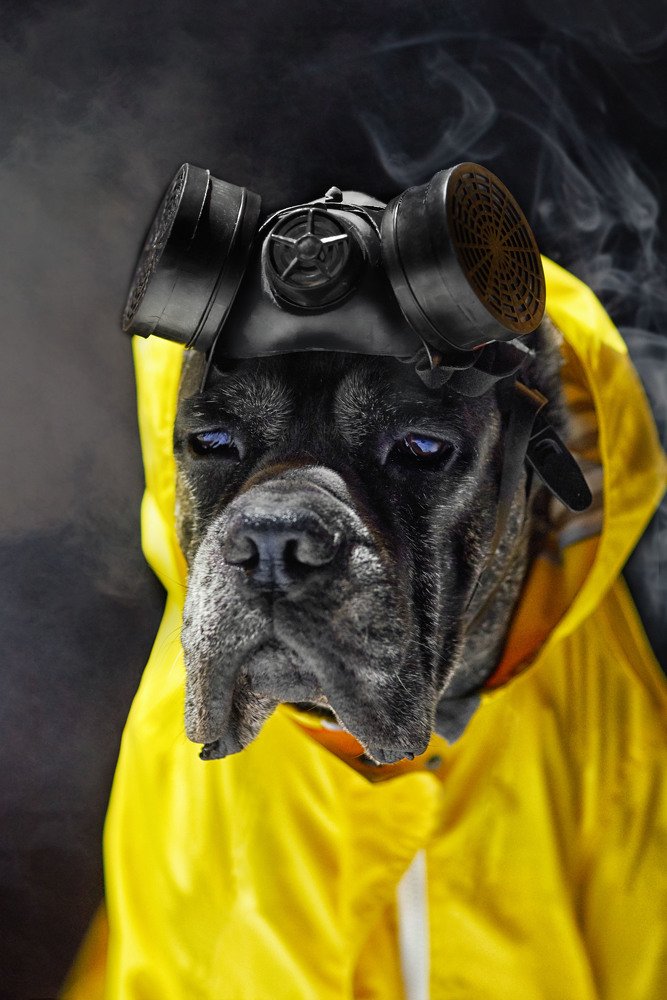 Photograph by Оксана Сироштан