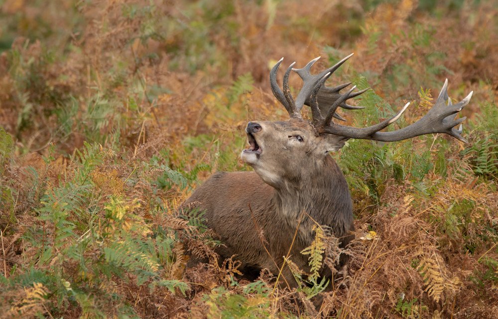 Фотография автора MARIA KULA