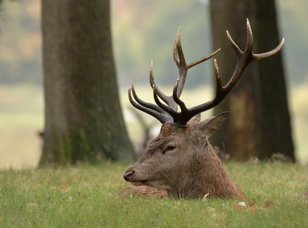 Фотография автора MARIA KULA