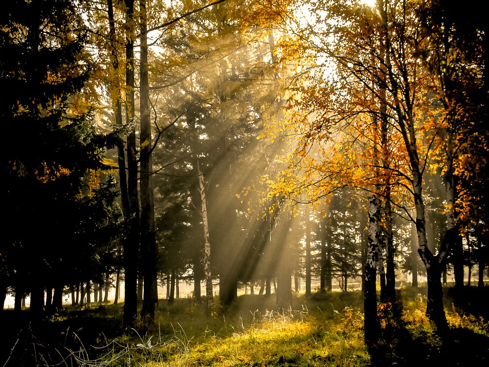 Photograph by Ольга Мурашева