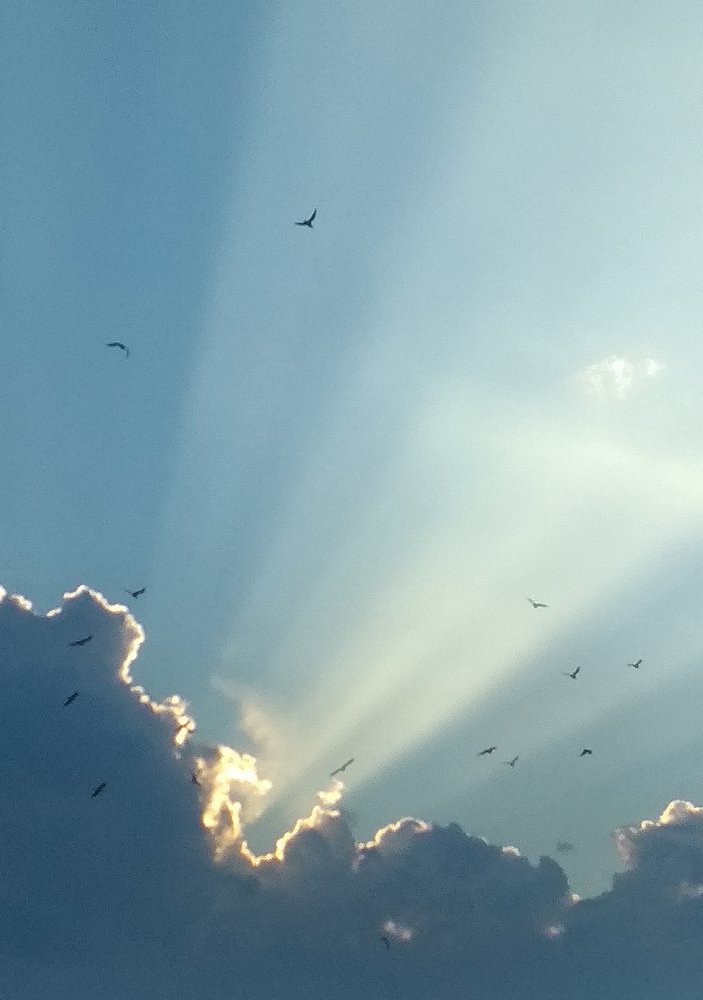 за солнцем...