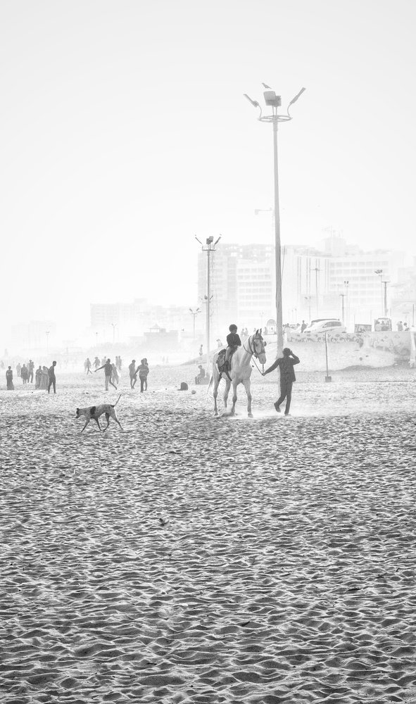 Photograph by N Fernandez