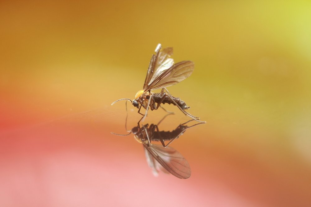 Photograph by Yusuf Buchari