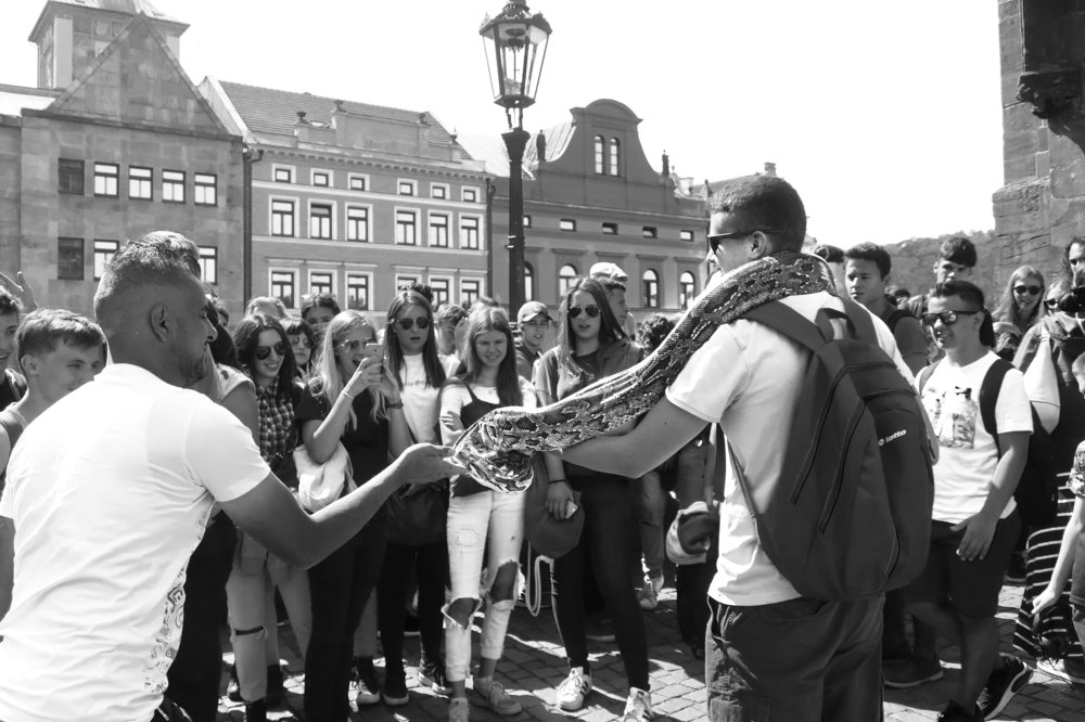 Photograph by Людмила Казак