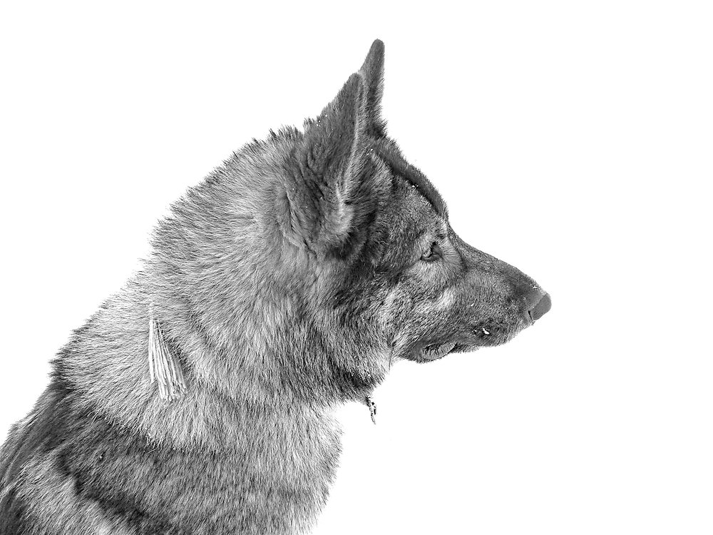 Photograph by Евгений Козлов