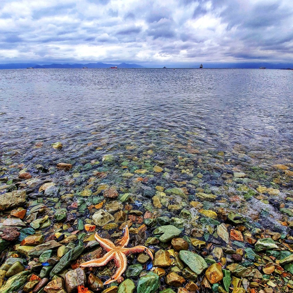 Камчатка встречает...