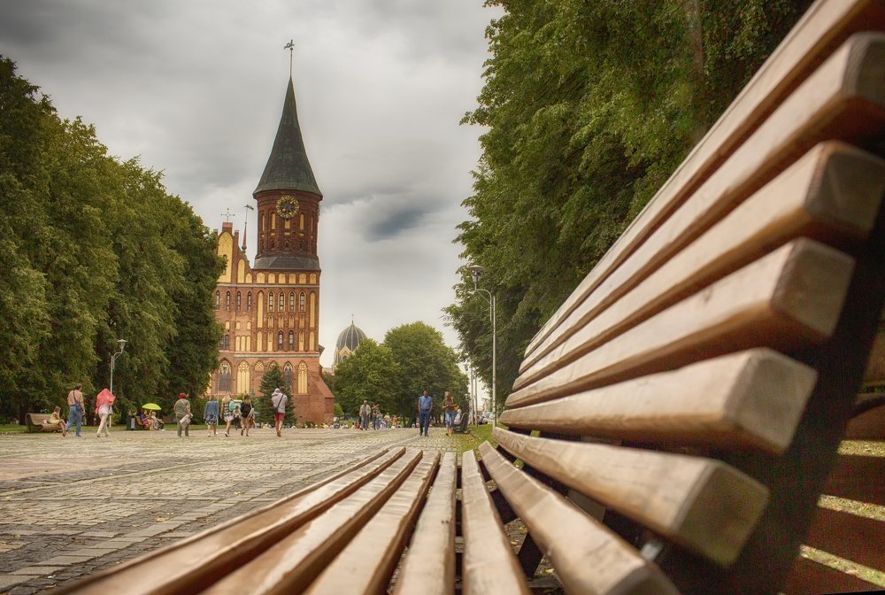 Good day, Kaliningrad!