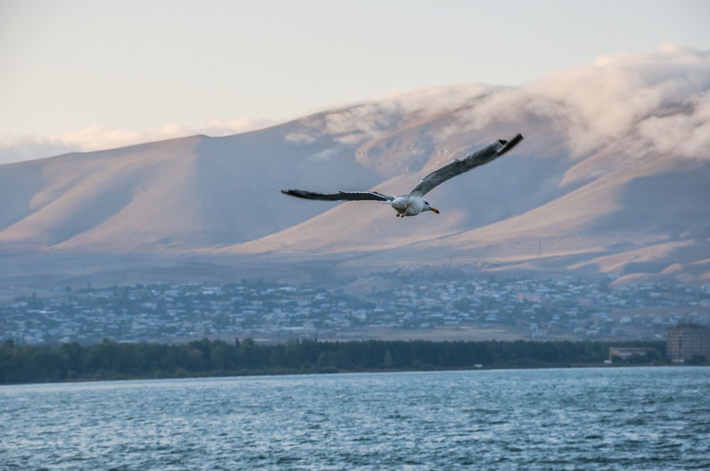 Photograph by Мария Аладьина