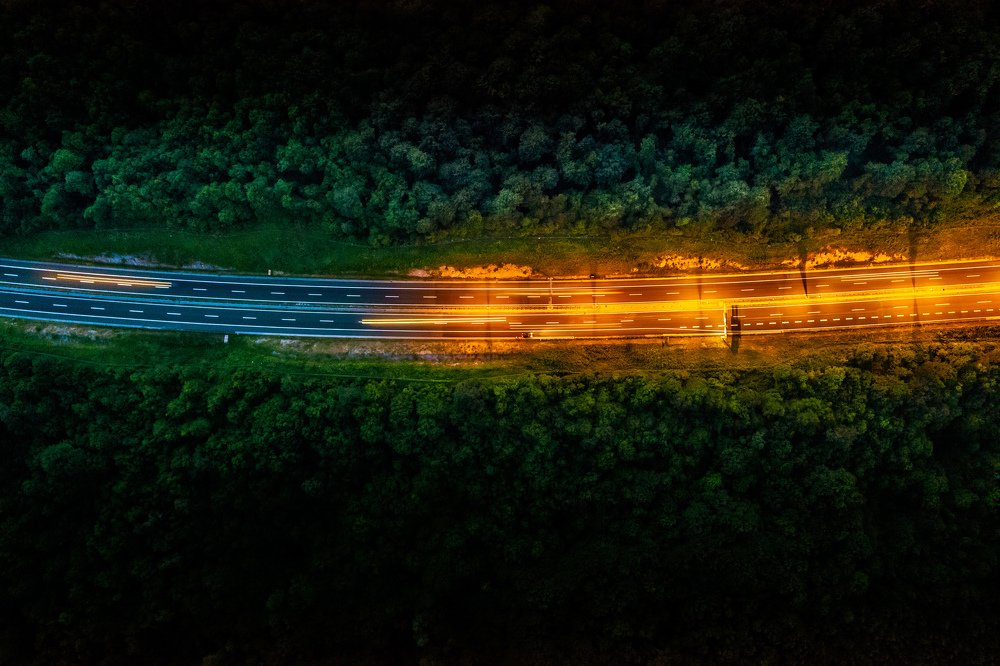 Фотография автора Сергей Морозов