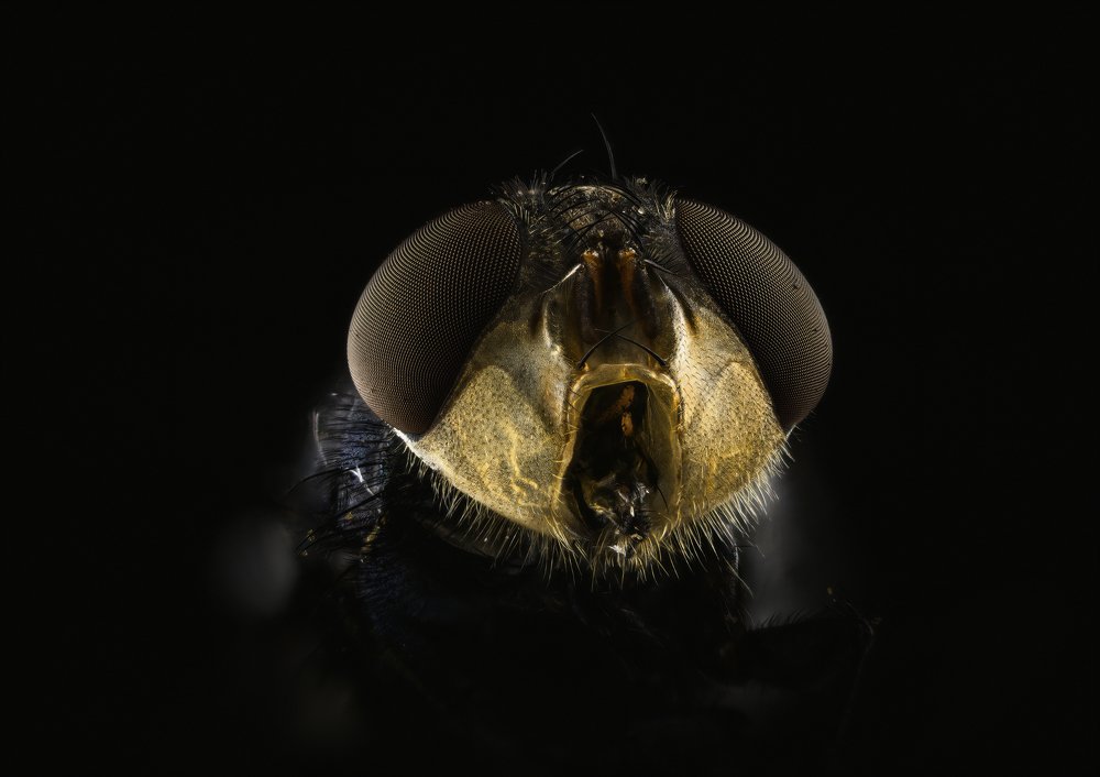 Photograph by Reynante Martinez