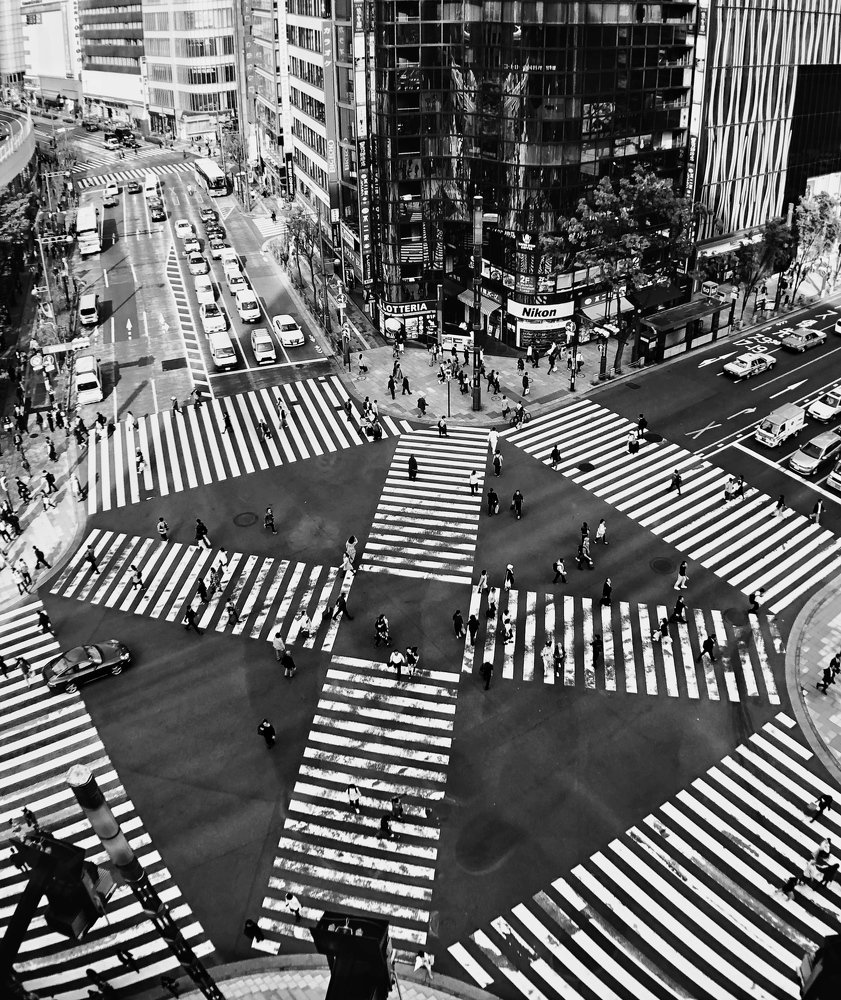 Vast zebra crossings in Tokyo