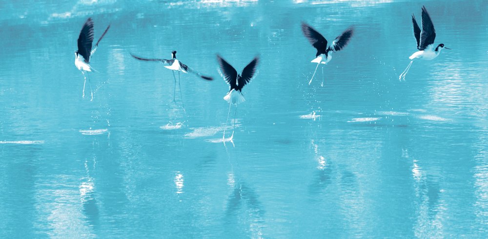 Photograph by Olga Serebryannaya