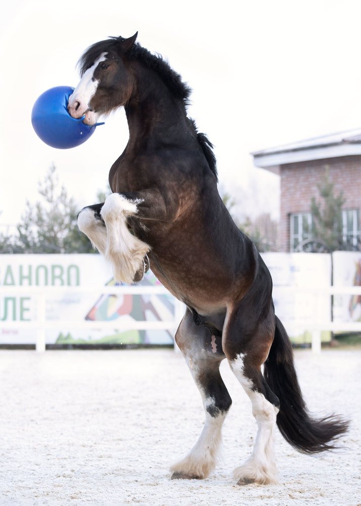 Photograph by Юлия Дудкова