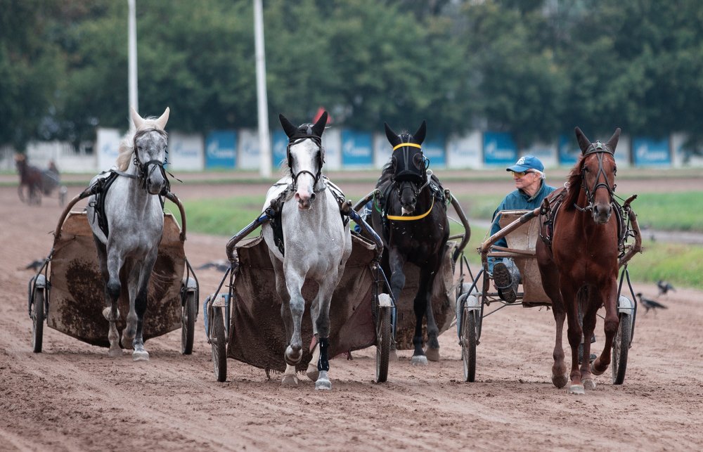 Photograph by Юлия Дудкова