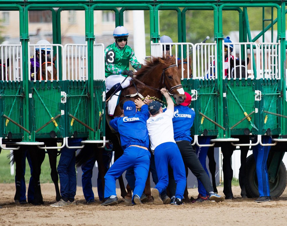 Photograph by Юлия Дудкова